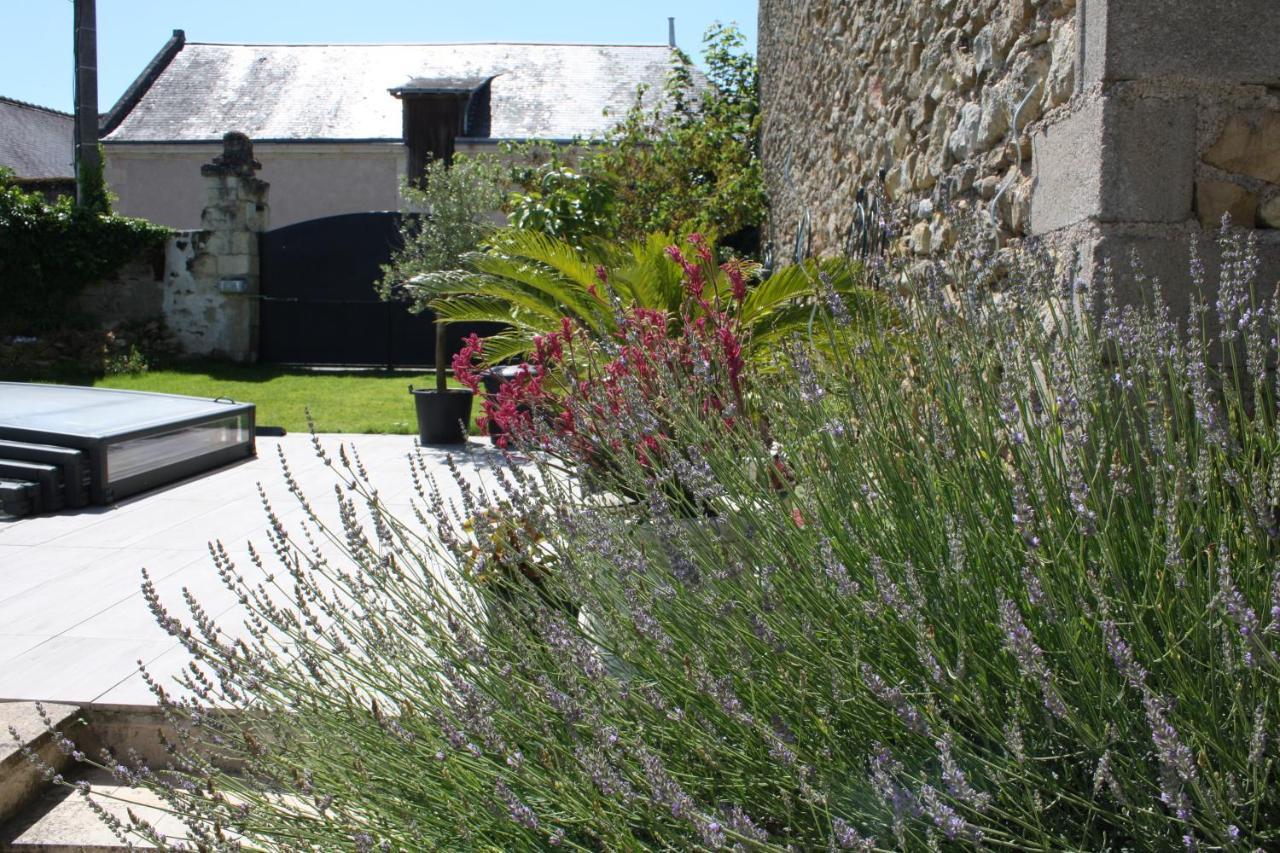 La Douce France Trianon Villa Chinon Luaran gambar